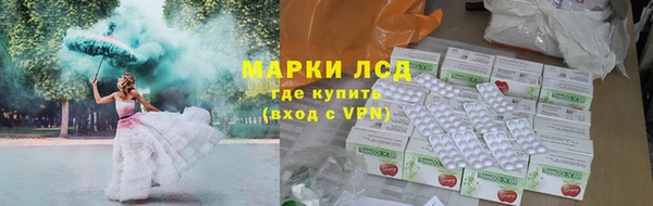 твердый Магас