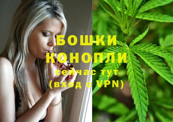 тгк Лиски