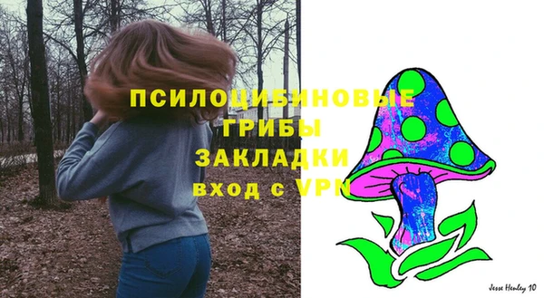 тгк Лиски