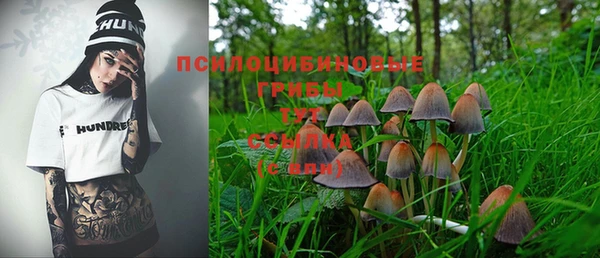 тгк Лиски