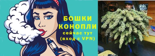 тгк Лиски