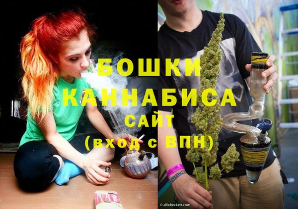 тгк Лиски