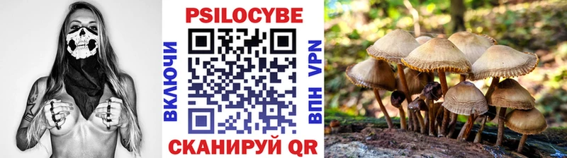 Псилоцибиновые грибы Cubensis  Купить закладки  Котово 